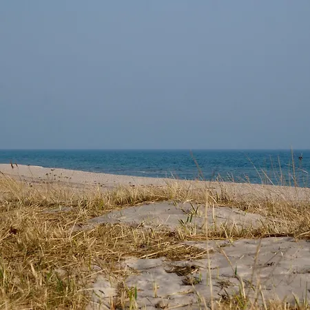 公寓 Kleine Brise Mit Meerblick Und Schwimmbad Kronsgaard